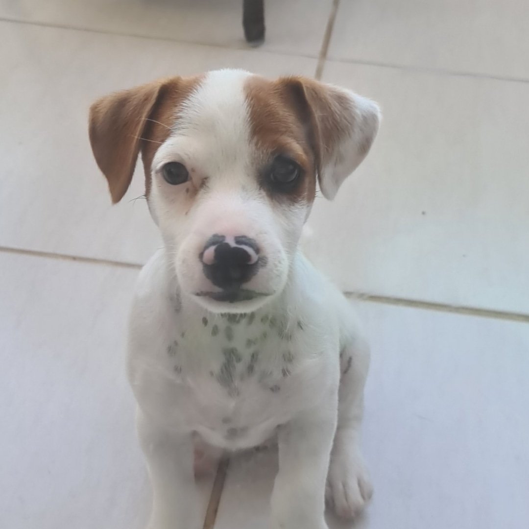 272768072_1348700925577610_2998867581876303624_n